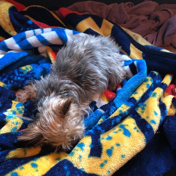 Meet your Posher, Sean - Picture 4 of 7